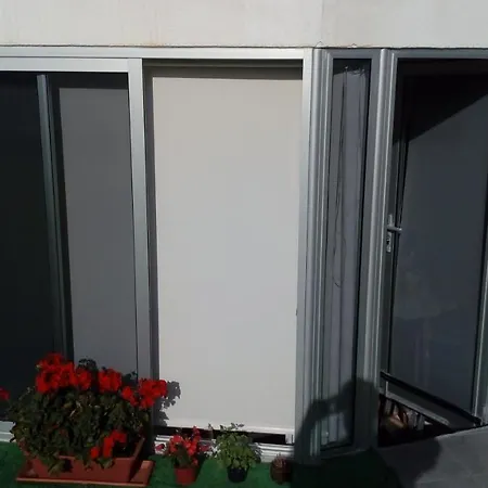 Apartament Luminoso Y Tranquilo Estudio Zona Botanico