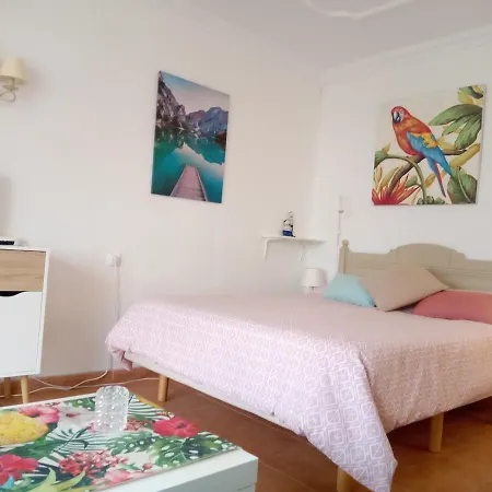 Apartament Luminoso Y Tranquilo Estudio Zona Botanico Puerto de la Cruz (Tenerife)