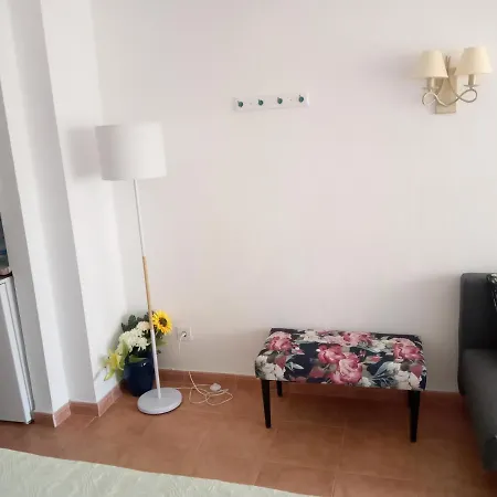 Apartment Luminoso Y Tranquilo Estudio Zona Botanico Puerto de la Cruz (Tenerife)